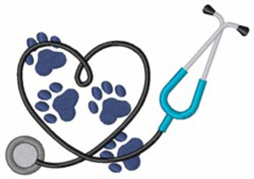 Animal Doctor HS1804036A